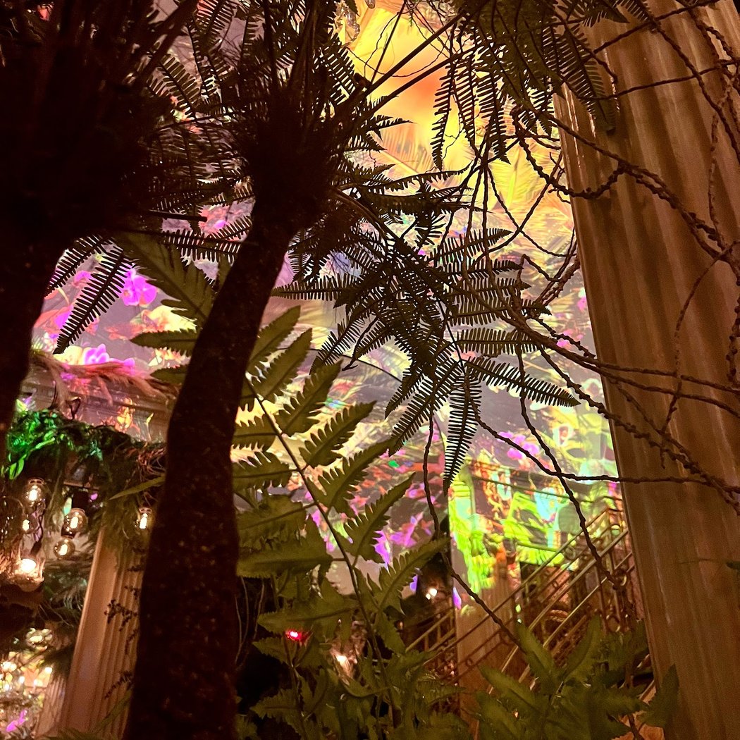 Jungle Palace 1